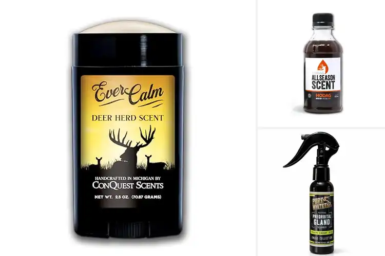 Detailed view of Best Deer Scents: Top 10 Picks for Hunting Success