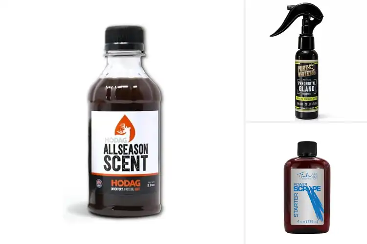 Detailed view of Best Mock Scrape Scents: Top Picks for Hunting Success