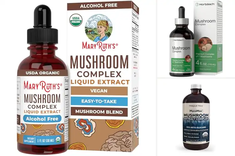 Detailed view of Best Mushroom Extracts