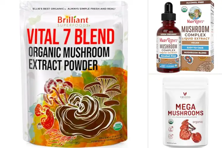 Detailed view of Best Organic Mushroom Extracts: Boost Focus & Calm Daily